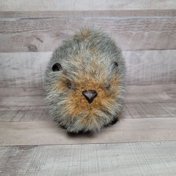 Vintage Plush Mary Meyer Woodchuck Chuck Groundhog Guinea Pig Stuffed Animal - Picture 2 of 10